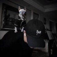 狂踹瘸子那条好腿