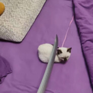 老奶奶吸大牛牛只为喝