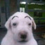 Dalen