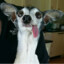 Perro Caliente
