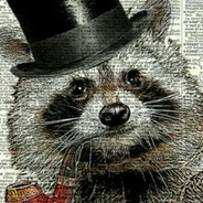 Mr.Racoon