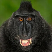 Прохор Шаляпин