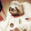 Sir Sloth Armstrong III