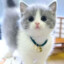 pookie &gt;w&lt;