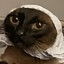 Babushkat