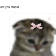 长矛占屎戳谁谁亖