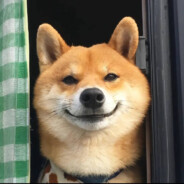 香坊区第一突破手