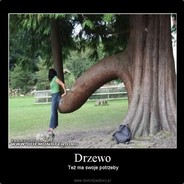 Judasz Drzewo