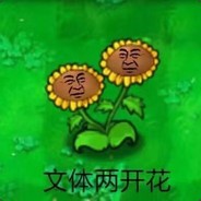 咸鱼一样的废物