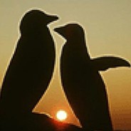 人人都是二刺螈