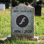 Goodbye_Flash