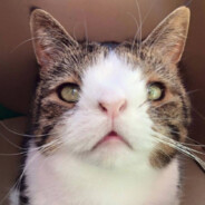Aws0mly