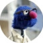 grover666