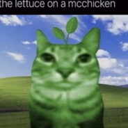 the lettuce on a mcchicken
