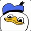 dolan pls