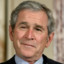 Bush