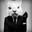 GURUrabBIT