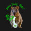 Stoned_Quokka