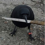 Mr. Bird
