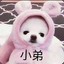 彬彬超猛