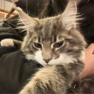 澳门钻石娱乐城城主