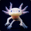 Goldgelbes Axolotl (★)