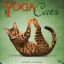 Yoga Cat