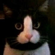 寂寞的人听着伤心的歌