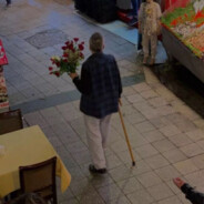 今年山青  花开如火