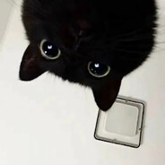 鲜花到了花期 凋零已成