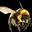 Bumblebee Brian