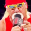 HULK HOGAN [GOON GANG]