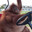 Cruisin' Orangutan