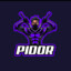 PIDOR