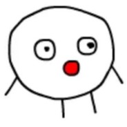 一只冷酷的猪猪