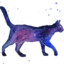 Cosmic Cat