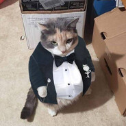 gato gordo de smoking