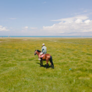 翻斗花园机油手牛爷爷
