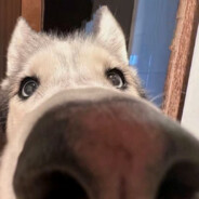 和你做艾克以吗