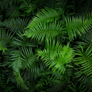 Дую,прям сейчас