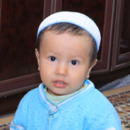 Bova