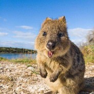 我也有一道自制的小菜