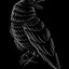 Crow