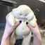 Dough Dimmadome