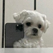 𝙋𝙤𝙨𝙞𝙩𝙞𝙫𝙚