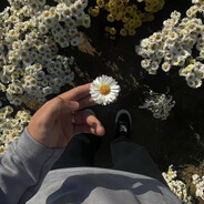 起什么名字好呢