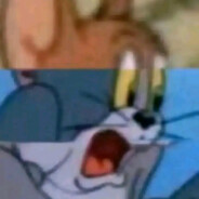 不会游泳的熊猫