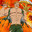 •Can√ ...ESCANOR