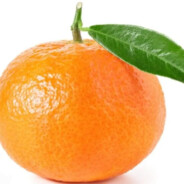 MANDARINA