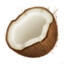 cCoconut